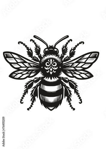 Honey Bee SVG, Bee Silhouette PNG, Bumblebee svg file, beekeeper svg, honey bee pictures, cute bee svg