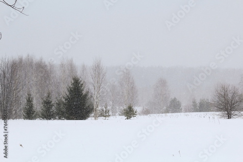 snow covered trees