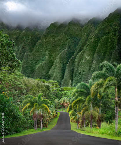 Green hawaii mountains with a single road