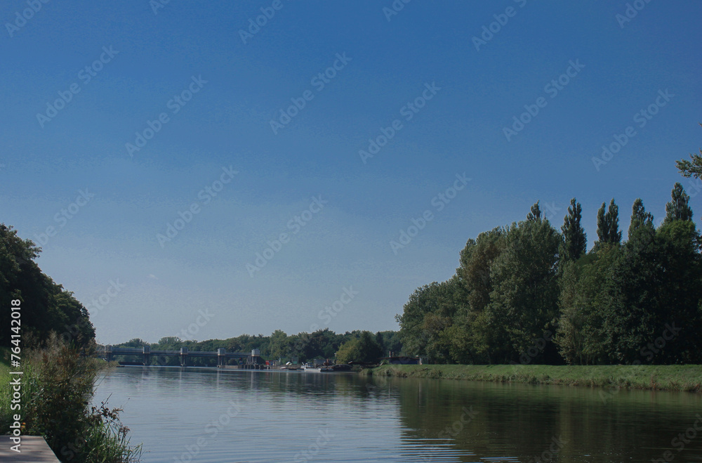 Naklejka premium lake and forest