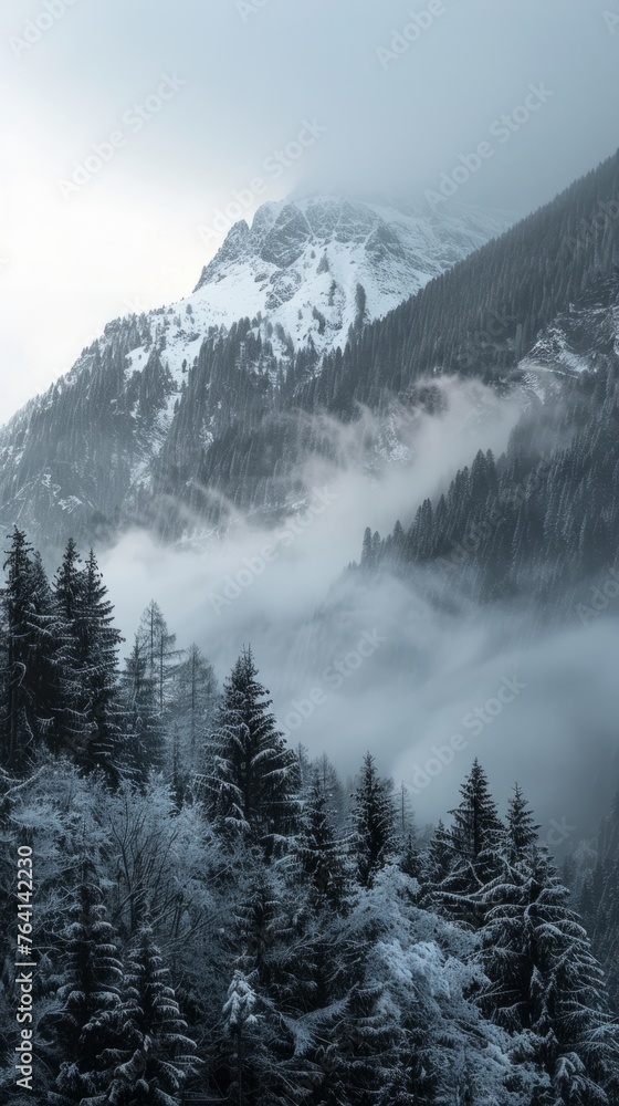 Fototapeta premium Sunset in the mountains, snow mountains