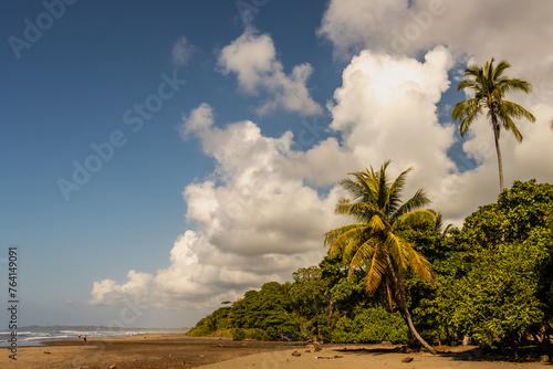 Warm image of a deserted beach and jungle along the coast of Costa Rica. Palm trees are seen rising in the background.