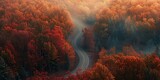 aerial view of a winding, autumn forest road