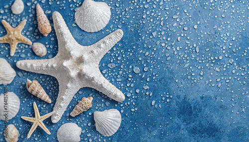 composition of exotic sea shells and starfish on blue background, top view. Summer sea flat lay