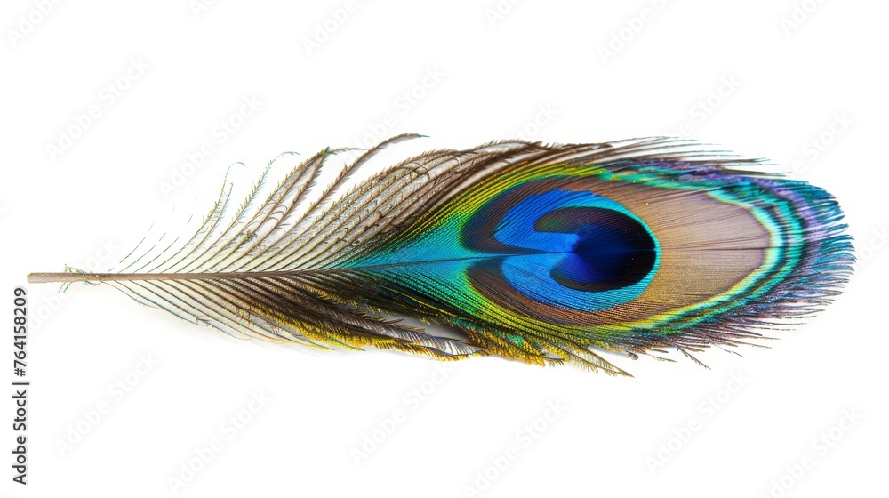 Fototapeta premium A single, beautifully detailed peacock feather displayed against a pure white background, emphasizing its vibrant colors and patterns.