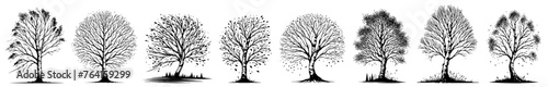 collection of various types of trees different species black vector laser cutting engraving