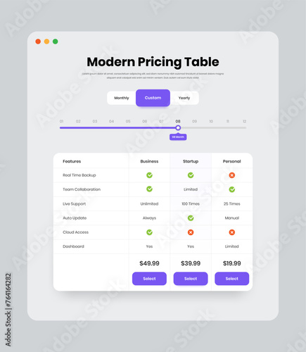 Professional business model subscription and plan overview web interface design with custom filter