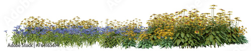 Evergreen Wild flowers and grass field in nature, Flowres on garden in springtime, Tropical forest isolated on transparent background - PNG file, 3D rendering illustration