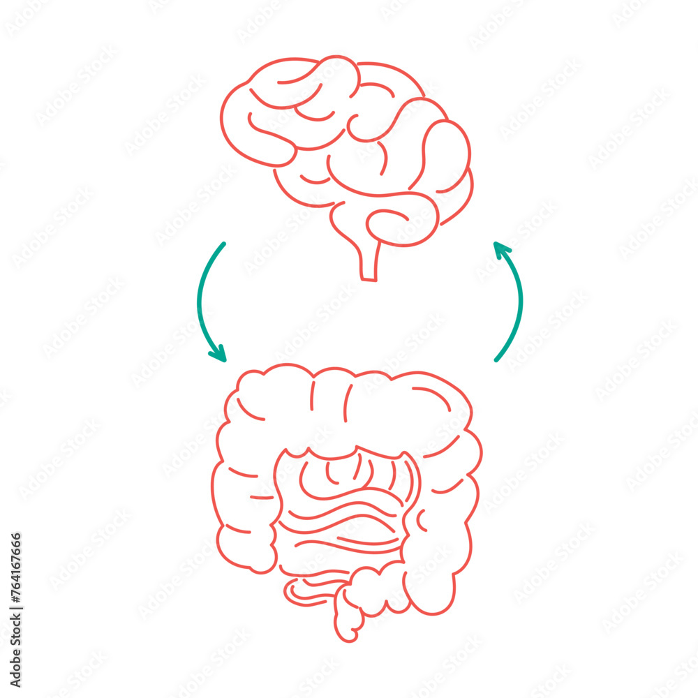 Gut-brain connection. Vector illustration Gut-brain connection. Vector illustration