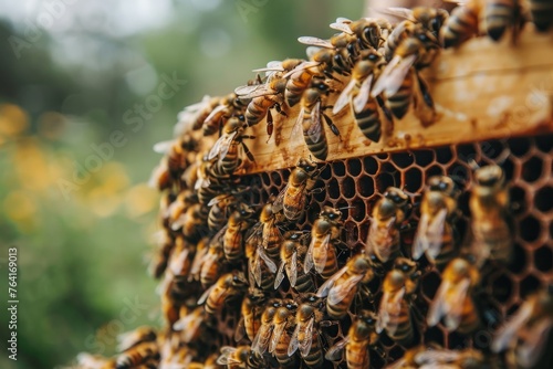 A dense swarm of honeybees busily work on a honeycomb, symbolizing teamwork, industry, and natural food production