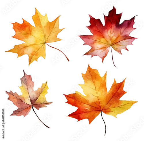 Watercolor autumn maple leaves isolated on white background.