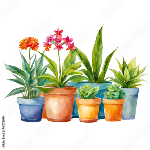 Different flower pots, multiple potted plants, beautiful flowers, foliage, garden, green house, nature, for craft, presentation, journals, cutout on white background, many flower pots together