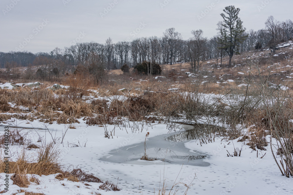 Frozen Plum Run on a Snowy January Afternoon, Gettysburg Pennsylvania USA