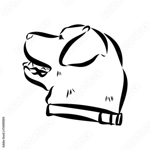 Scenes of dog training with cartoon characters of man and his pet learning various commands