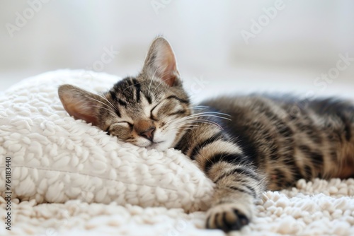 A sleepy young cute cat dozing on a white pillow photo