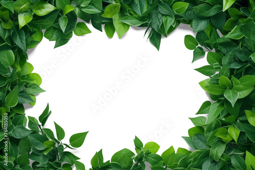 Fresh green leaf landscape background