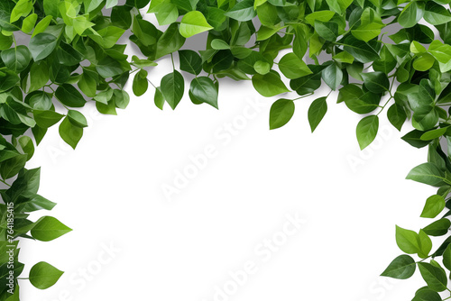 Fresh green leaf landscape background