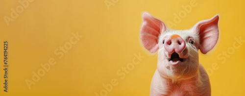 A pig is making a loud noise and has its mouth open. The pig is in a yellow room. pig looking surprised, reacting amazed, impressed. a pig over yellow background. a positive mood. funny animals card
