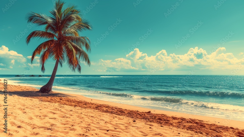  A beachside palm tree surrounded by blue sky and ocean