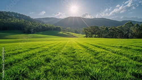 Green Field With Mountains