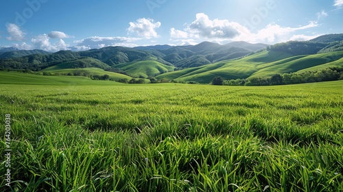 Green Field With Mountains