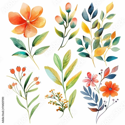 Vibrant Watercolor Botanical Illustrations Set with Flowers and Leaves