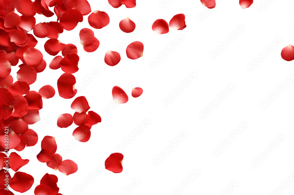 Top view Red rose petals on transparent background 