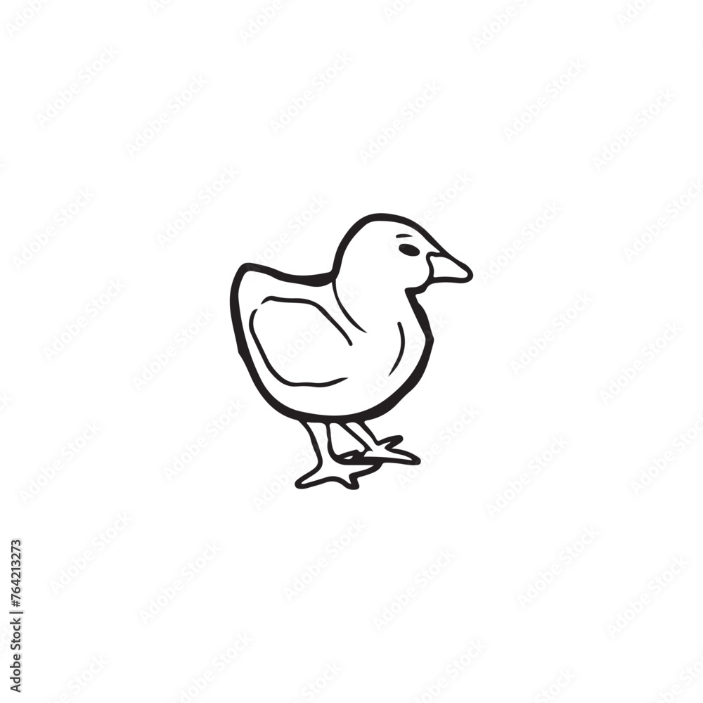 Beautiful realistic chick standing in black isolated on white background. Hand drawn vector sketch illustration in doodle engraved vintage line art style. Concept of farm, incubation, domestic animal. Beautiful realistic chick standing in black isolated on white background. Hand drawn vector sketch illustration in doodle engraved vintage line art style. Concept of farm, incubation, domestic animal.