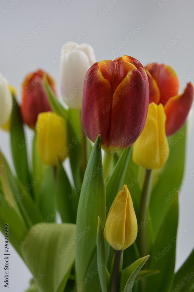 Festive bouquet of flowers, spring, bright flowers arranged in a glass glass. Composition of red, white, yellow tulips against the background of long, green leaves. Festive bouquet of flowers, spring, bright flowers arranged in a glass glass. Composition of red, white, yellow tulips against the background of long, green leaves.