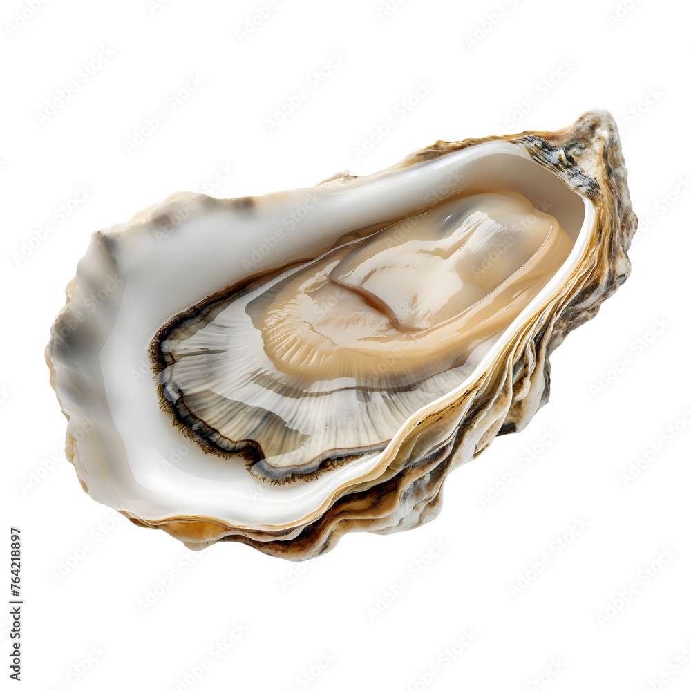 oyster shell isolated on transparent background Generative Ai oyster shell isolated on transparent background Generative Ai