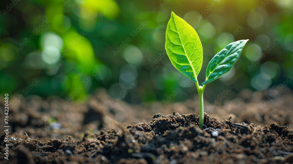 A vibrant, green sapling emerging from the soil, symbolizing hope and renewal for Earth Day. - obrazy, fototapety, plakaty 