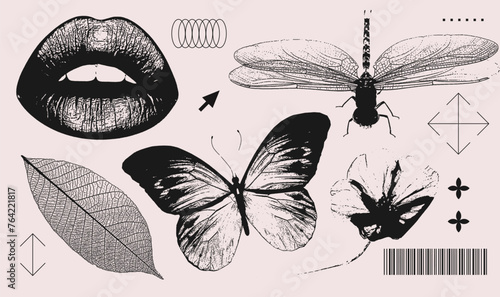 Lips, butterfly, dragonfly, flower, leaf realistic elements with a retro grainy photocopy effect. Y2k print for brutal design. Grain effect and stippling. Vector dots textured illustration collection. © LanaSham