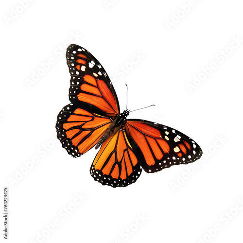 beautiful butterfly flying png © I LOVE PNG