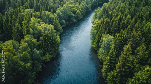 Stream Flowing Through Lush Green Forest