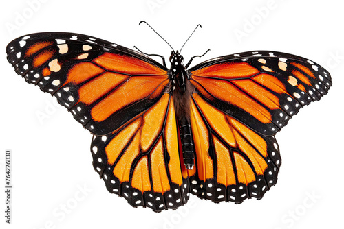 beautiful monarch butterfly, isolated on transparent background