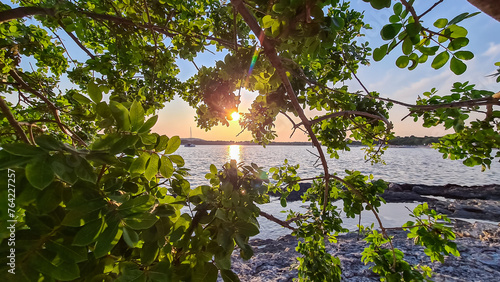 Lush green tree branch at romantic sunset overlooking idyllic Kvarner Bay in Medulin, Croatia, Europe. Sailing boat in calm bay of Adriatic Mediterranean Sea in summer. Tranquil peaceful scene photo