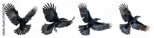 Black ravens in flight with outstretched wings on transparent background