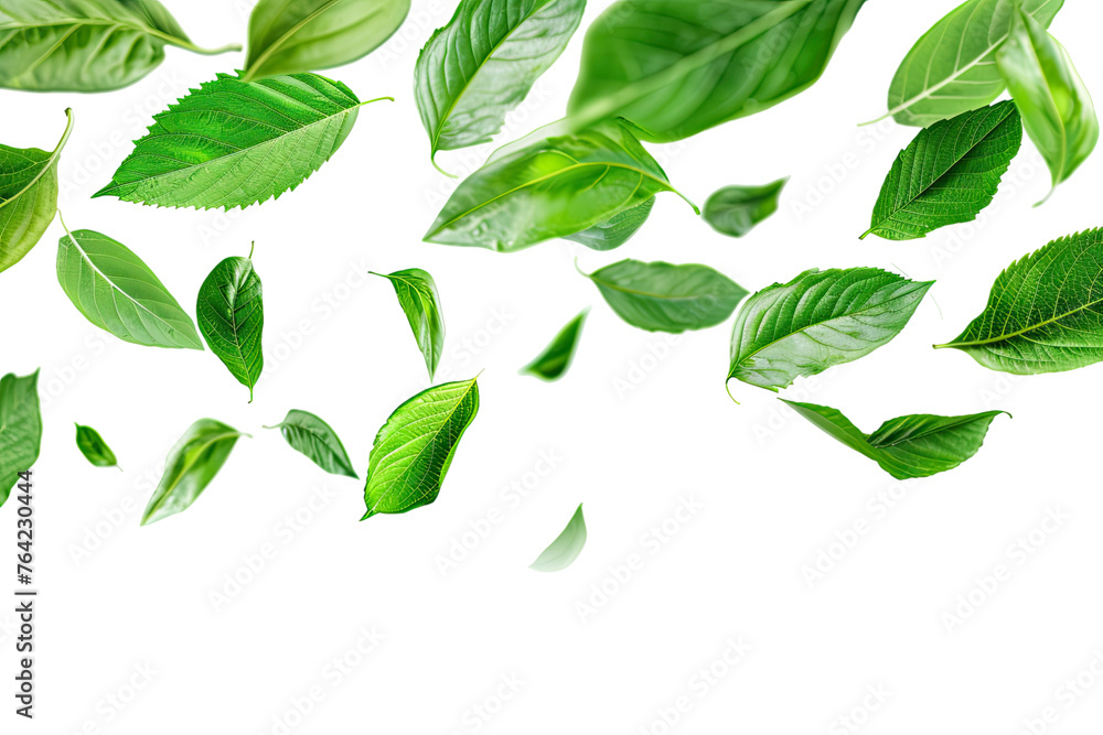  Flying green leaves isolated on transparent background 