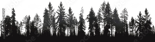 Silhouetted tall trees in a serene forest at dusk, tranquil and mysterious © Robert Kneschke