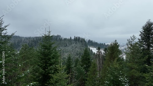 Between treetops of green trees. Forest and mountains, aerial natural landscape