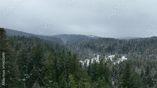 Natural landscape. Forest and mountains in winter season. Misty and cloudy weather