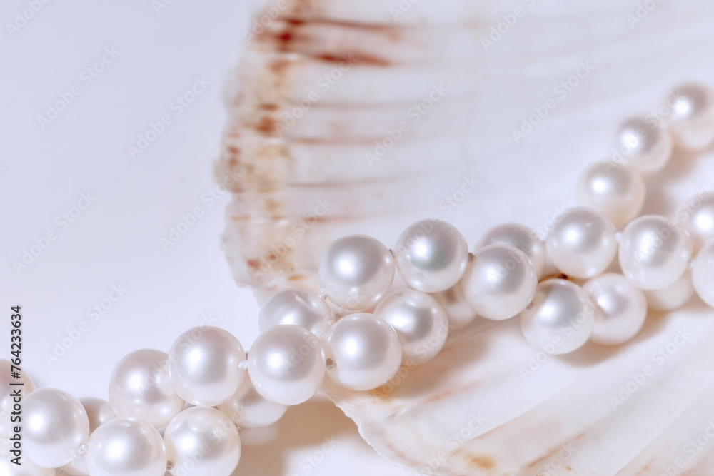 pearl beads on an oyster shell pearl beads on an oyster shell