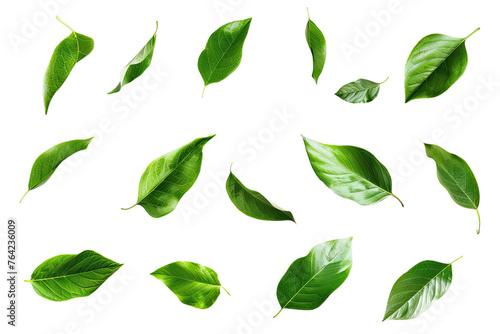 Set of flying green leaves isolated on transparent background