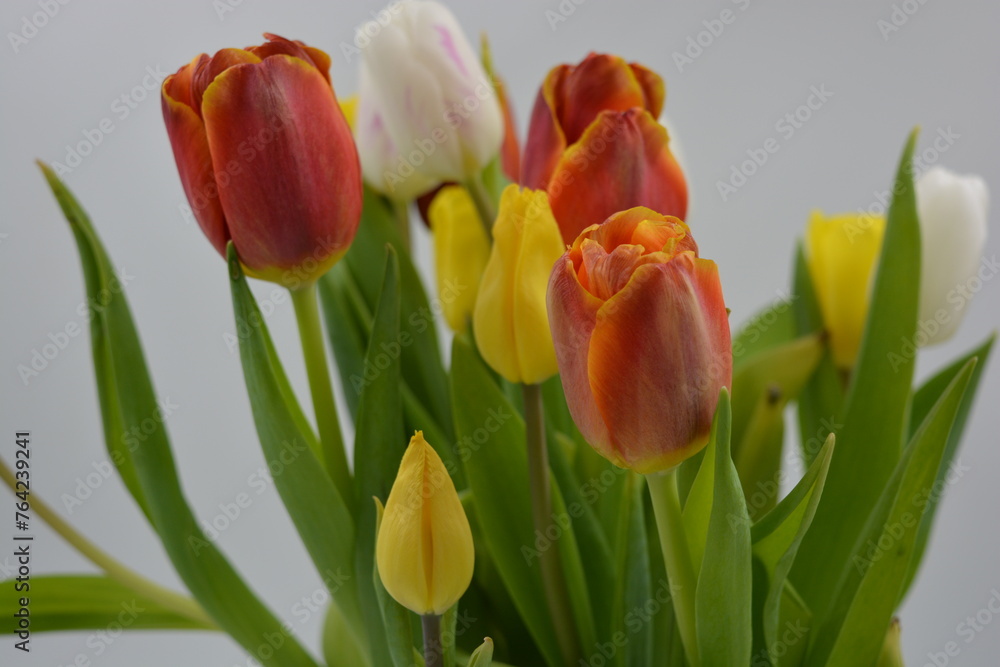 Festive bouquet of flowers, spring, bright flowers arranged in a glass glass. Composition of red, white, yellow tulips against the background of long, green leaves. Festive bouquet of flowers, spring, bright flowers arranged in a glass glass. Composition of red, white, yellow tulips against the background of long, green leaves.