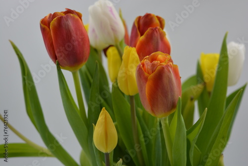 Fototapeta Naklejka Na Ścianę i Meble -  Festive bouquet of flowers, spring, bright flowers arranged in a glass glass. Composition of red, white, yellow tulips against the background of long, green leaves.