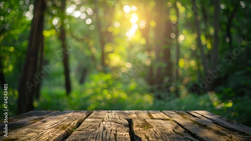 Wooden Table in Forest Clearing