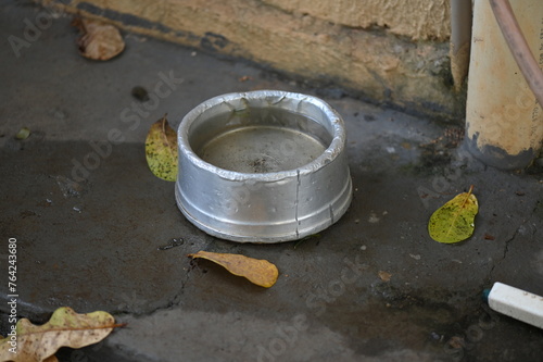 plastic bowl abandoned in a vase with stagnant water inside. close up view. mosquitoes in potential breeding ground.