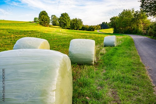 Bales of hay wrapped in plastic wrap in the field close up. Livestock feed and plant and straw processing photo