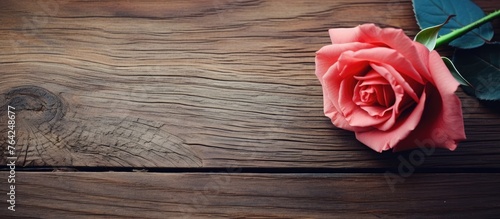 Single rose on wooden table with leaf