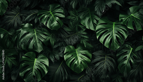 Tropical leaves dark green foliage in jungle nature